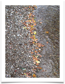 Pebbles, Leaves, Water - Helen Kulczcki Pebbles, Leaves, Water - Helen Kulczcki